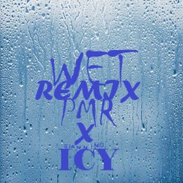 Album cover of WET (feat. IcY)