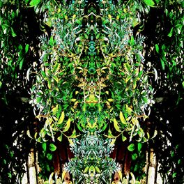Album cover of FATHER RA