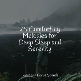 Album cover of 25 Comforting Melodies for Deep Sleep and Serenity