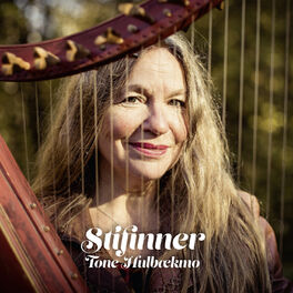 Album cover of Stifinner