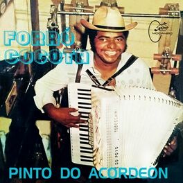 Album cover of Forró Cocota
