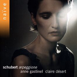 Album cover of Schubert: Arpeggione, Sonatina & Lieder Transcriptions