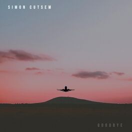Album cover of Goodbye