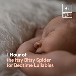 Itsy Bitsy Spider: albums, songs, playlists