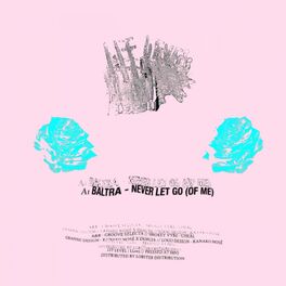 Album cover of Never Let Go (Of Me) (Sped Up + Slowed Remixes)