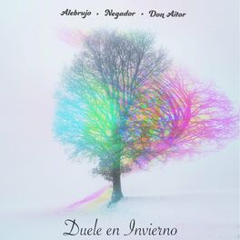 Album cover of Duele en Invierno