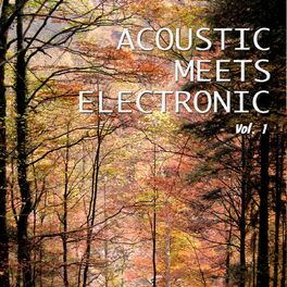 Album cover of Acoustic Meets Electronic, Vol. 1 (Best Mix of Acoustic & Electronic Chill out and Chill House Tracks)