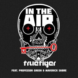 Album cover of In The Air (feat. Professor Green & Maverick Sabre)