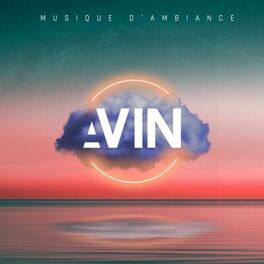 Album cover of Musique d'Ambiance