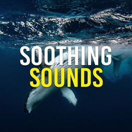 Album cover of Soothing Sounds