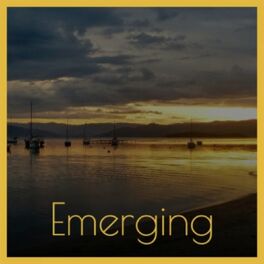 Album cover of Emerging