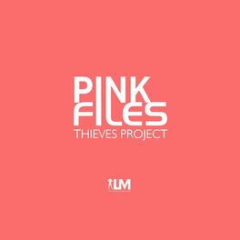 Album cover of Pink Files Project
