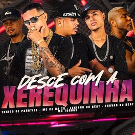 Album cover of Desce Com a Xerequinha