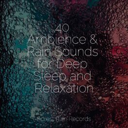 Album cover of 40 Ambience & Rain Sounds for Deep Sleep and Relaxation