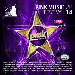 Album cover of Pink Music Festival 2014 Vol. 1 & 2