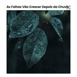 Album cover of As Folhas Vão Crescer Depois da Chuva