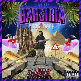 Album cover of Sho Es Barsiria