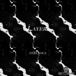 Album cover of LAYER