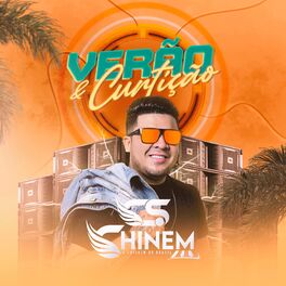 Album cover of Verão & Curtição