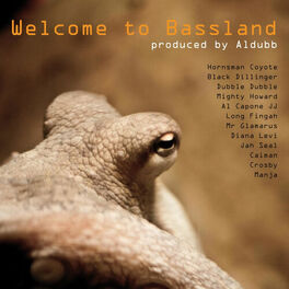 Album cover of Welcome to Bassland