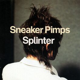 Album cover of Splinter