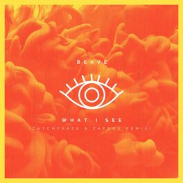 Album cover of What I See
