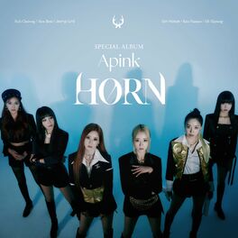 Album cover of HORN