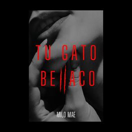 Album cover of Tu Gato Bellaco