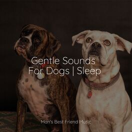 Album cover of Gentle Sounds For Dogs | Sleep