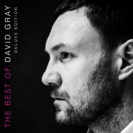 Album cover of The Best of David Gray (Deluxe Edition)