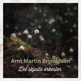 Album cover of Det Skjulte Orkester