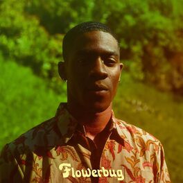Album cover of Flowerbug (Interlude)