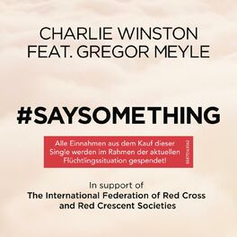 Album cover of Say Something (feat. Gregor Meyle)