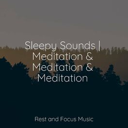 Album cover of Sleepy Sounds | Meditation & Meditation & Meditation