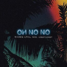 Album cover of Oh No No