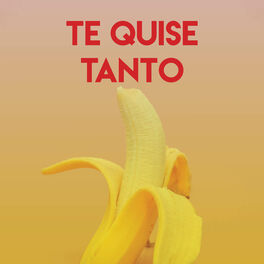 Album cover of Te Quise Tanto