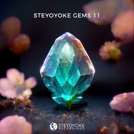 Album cover of Steyoyoke Gems 11
