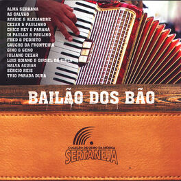 Album cover of Bailão Dos Bão