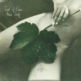 Album cover of New Leaf