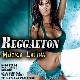 Album cover of Reggaeton. Música Latina 100%