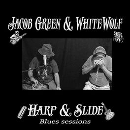 Album cover of Harp & Slide Blues Sessions
