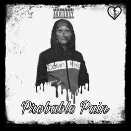 Album cover of Probable Pain