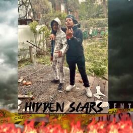 Album cover of Hidden Scars