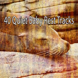 Album cover of 40 Quiet Baby Rest Tracks
