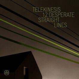 Album cover of 12 Desperate Straight Lines