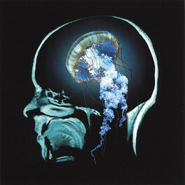 Album cover of Undulating