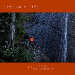 Album cover of Live Your Life