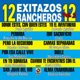 Album cover of 12 Exitazos Rancheros, Vol. 2