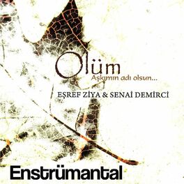 Album cover of Ölüm Aşkımın Adı Olsun (Enstrümantal)