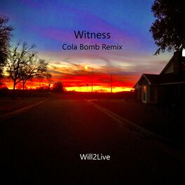 Album cover of Witness